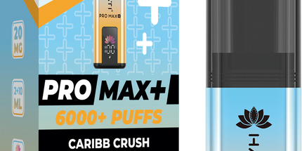 Hayati Pro Max Plus 6000